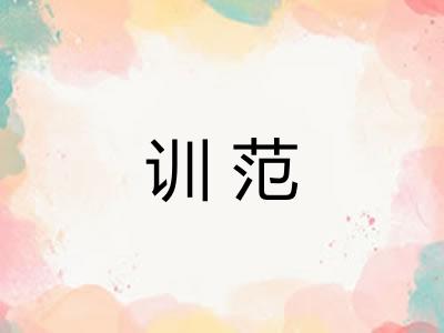 训范