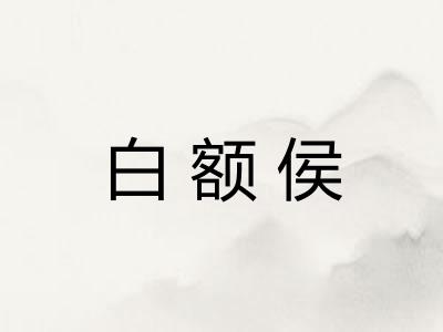 白额侯