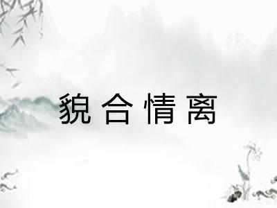 貌合情离