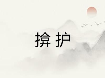 揜护