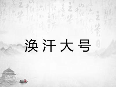 涣汗大号