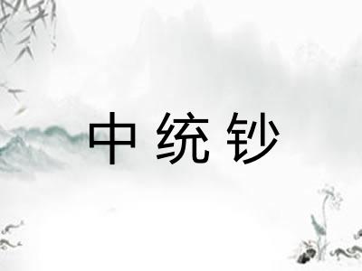 中统钞 中统钞