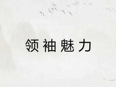 领袖魅力