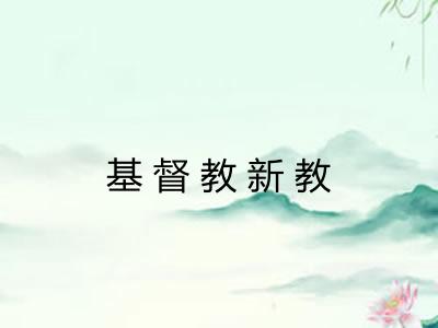 基督教新教 基督教新教
