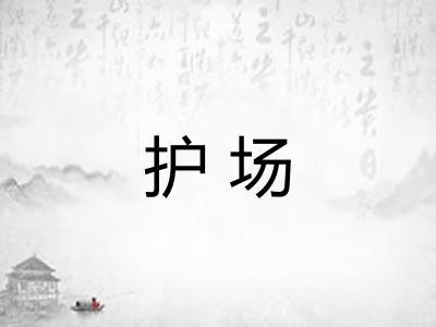 护场