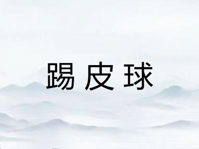 踢皮球