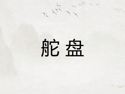 舵盘