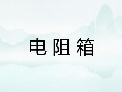 电阻箱 电阻箱
