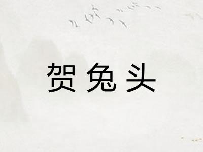 贺兔头