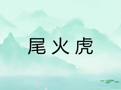 尾火虎