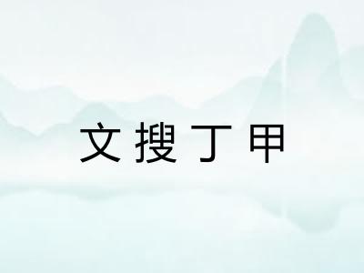 文搜丁甲