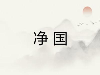净国