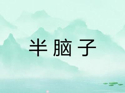 半脑子 半脑子