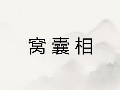 窝囊相