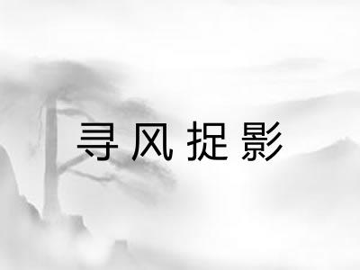 寻风捉影