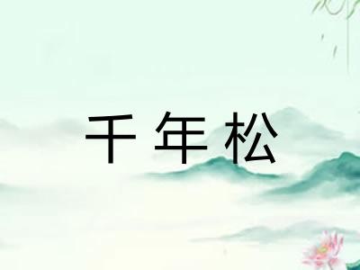 千年松