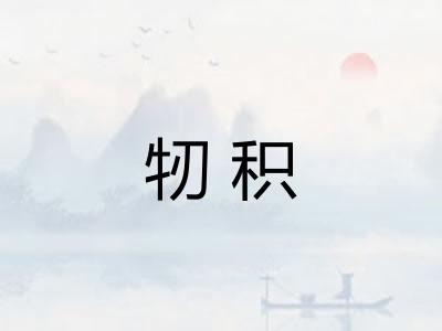 牣积