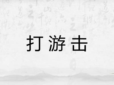 打游击