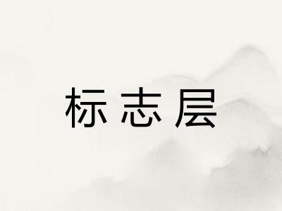 标志层