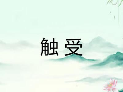 触受 触受