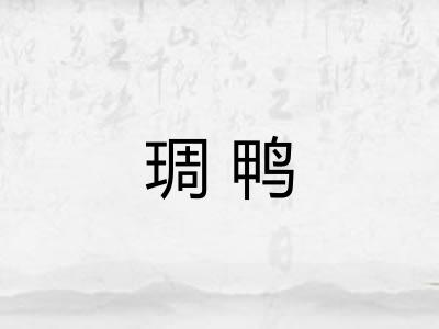 琱鸭 琱鸭