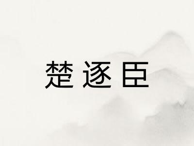 楚逐臣