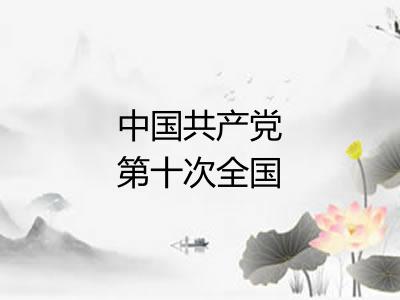 中国共产党第十次全国代表大会 中国共产党第十次全国代表大会