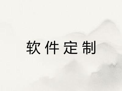 软件定制