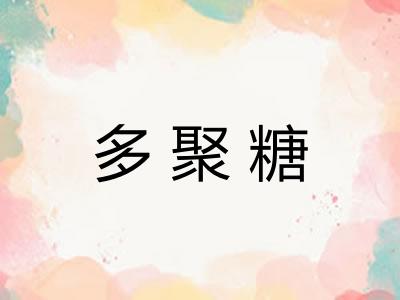 多聚糖 多聚糖