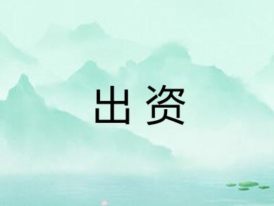 出资 出资