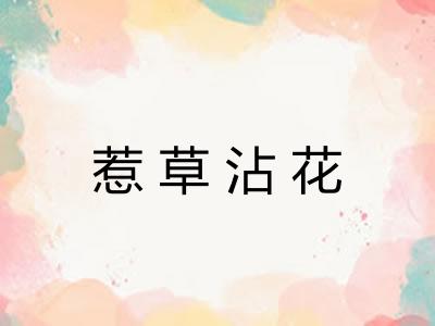 惹草沾花