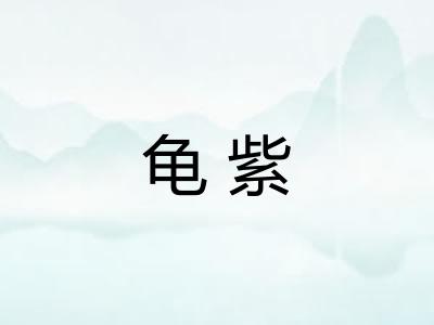 龟紫