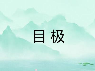 目极