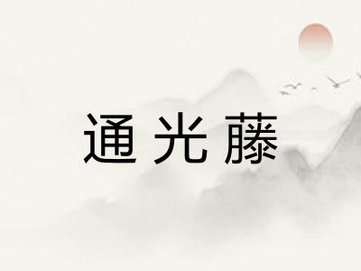 通光藤 通光藤
