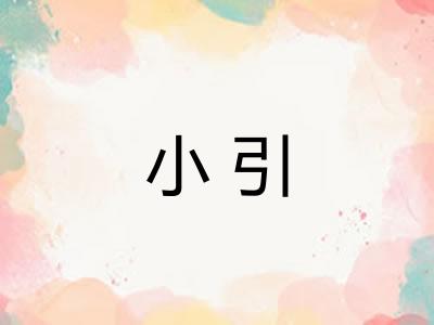 小引 小引