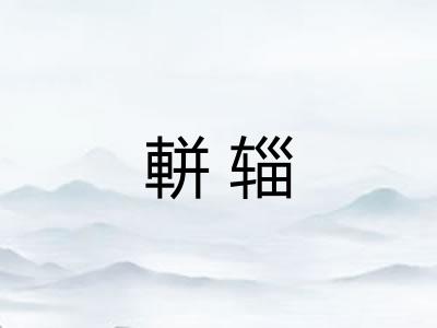 軿辎