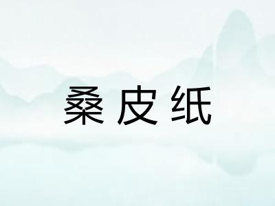 桑皮纸 桑皮纸