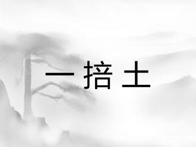 一掊土