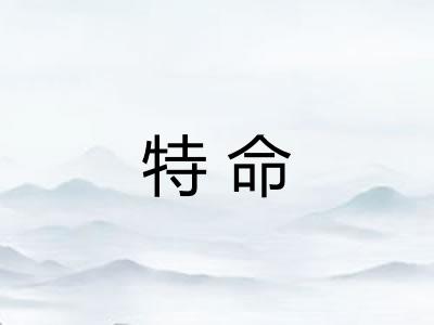 特命