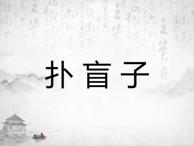 扑盲子 扑盲子