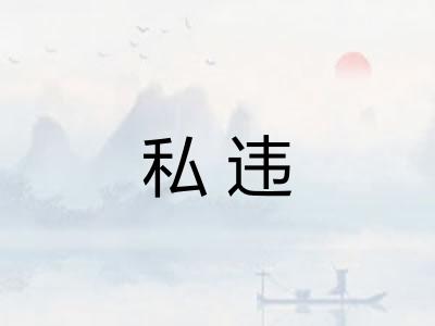私违