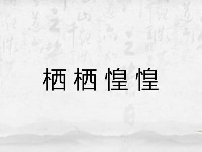 栖栖惶惶