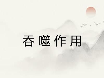 吞噬作用