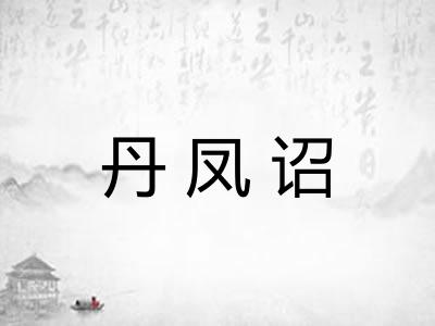 丹凤诏