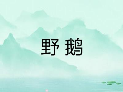 野鹅