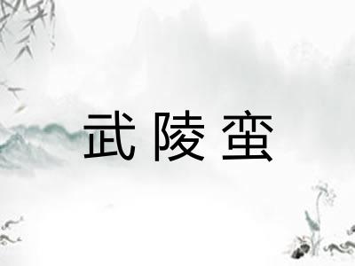 武陵蛮