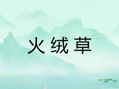 火绒草