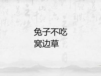 兔子不吃窝边草
