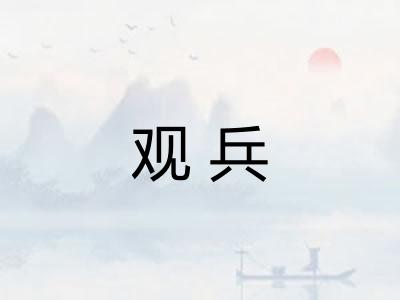 观兵