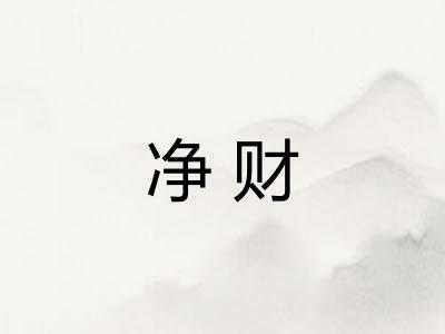 净财